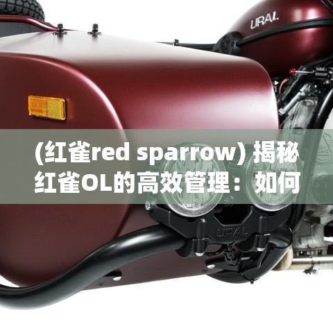 (红雀red sparrow) 揭秘红雀OL的高效管理：如何在团队中树立正确的沟通机制？